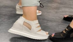 انواع کفش لژدار