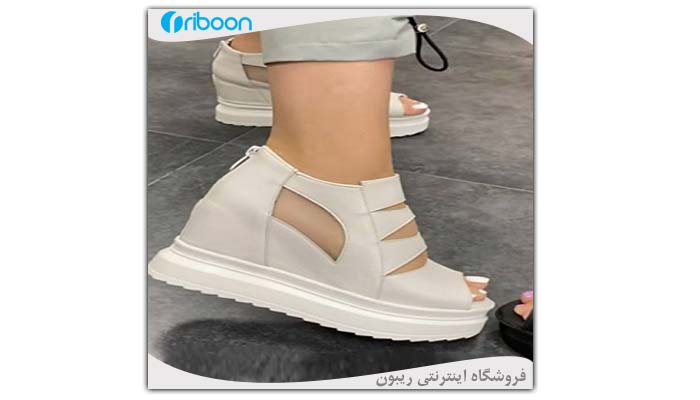انواع کفش لژدار